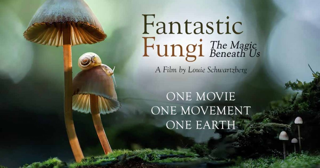تصویر Fantastic Fungi 2019
