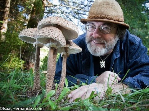 Paul Stamets picture