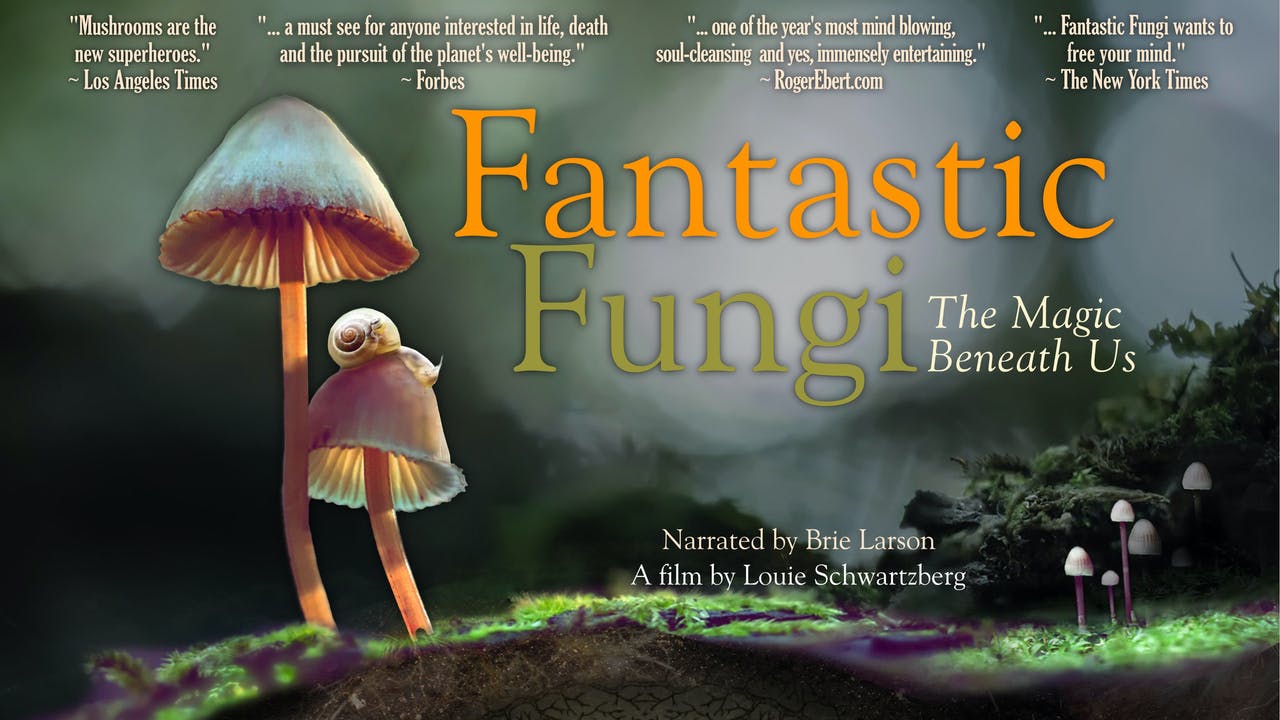 دانلود Fantastic Fungi
